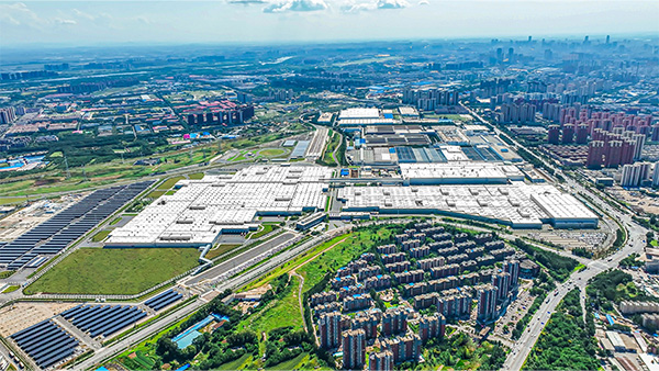 Dadong Plant image 1